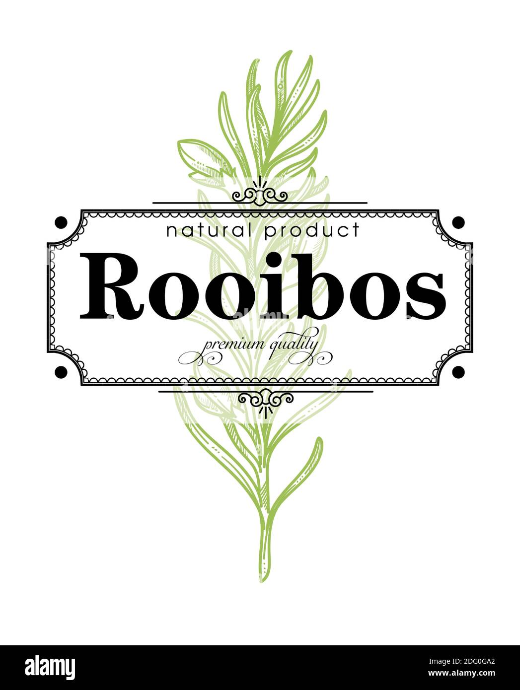 Roibos tea Stock Vector Images - Alamy