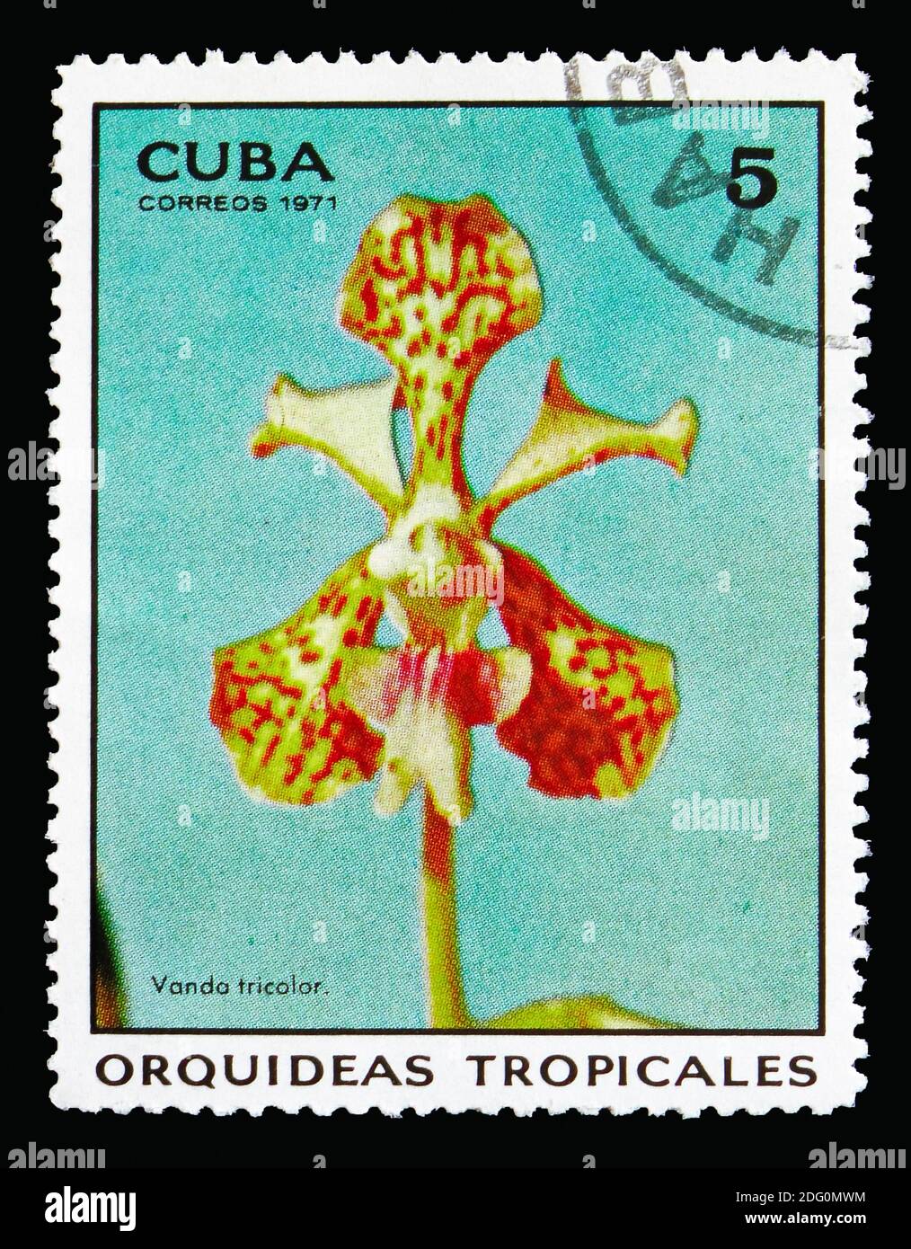 MOSCOW, RUSSIA - AUGUST 18, 2018: A stamp printed in Cuba shows Vanda ...