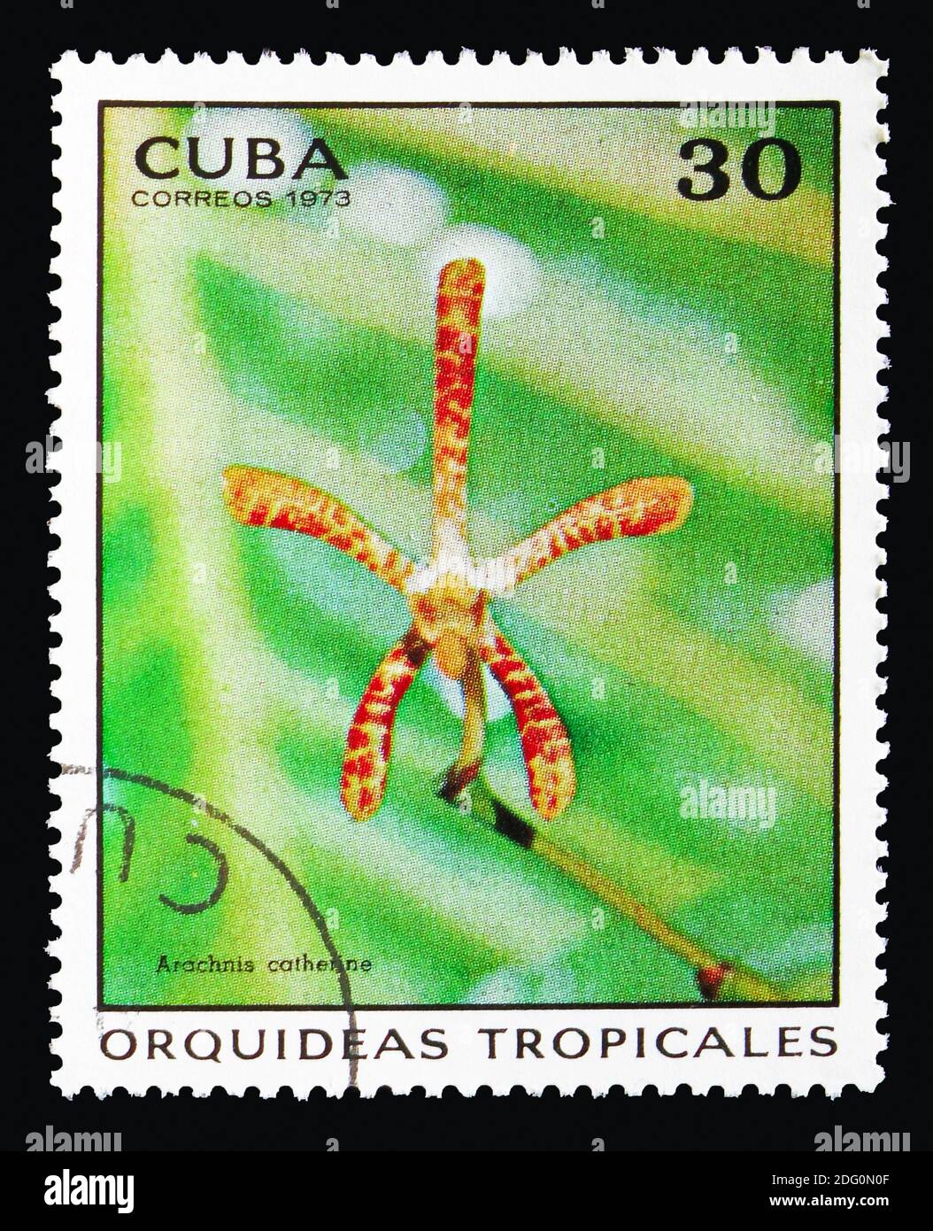 MOSCOW, RUSSIA - AUGUST 18, 2018: A stamp printed in Cuba shows Arachnis catherine, Orchids serie, circa 1973 Stock Photo