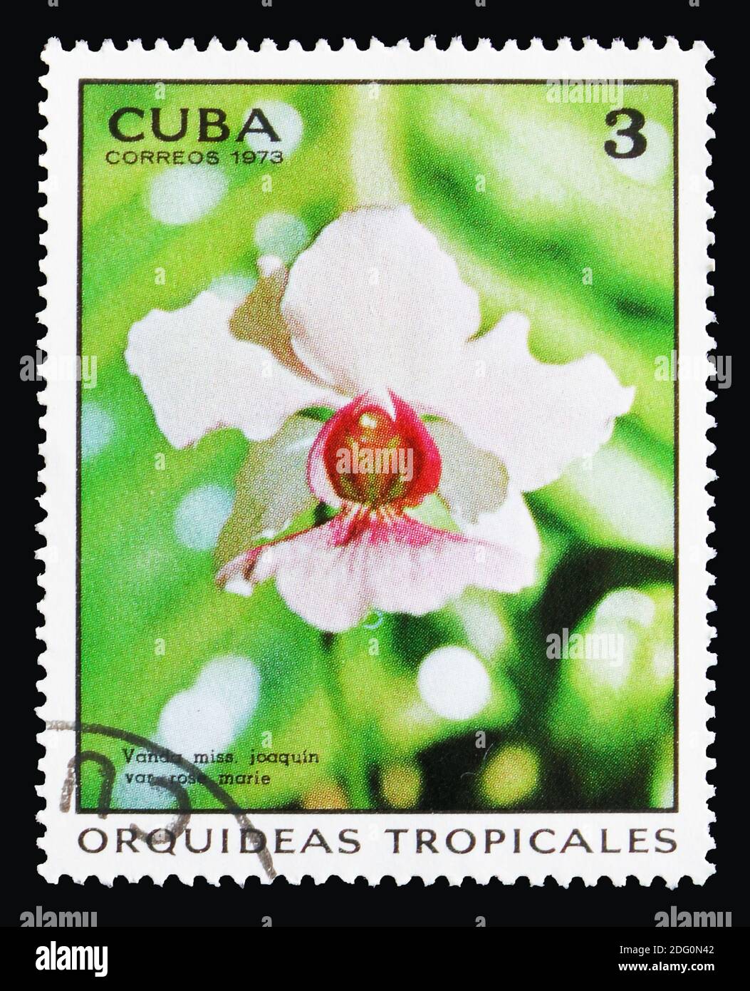 MOSCOW, RUSSIA - AUGUST 18, 2018: A stamp printed in Cuba shows Vanda miss. Joaquin var. Rose marie, Orchids serie, circa 1973 Stock Photo