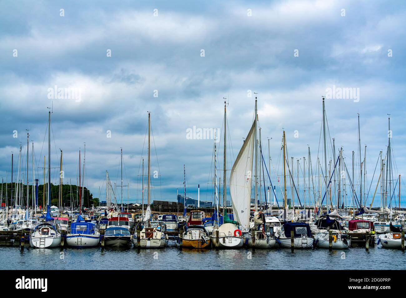 Sailboats docked side by side in a large marina Stock Photo - Alamy