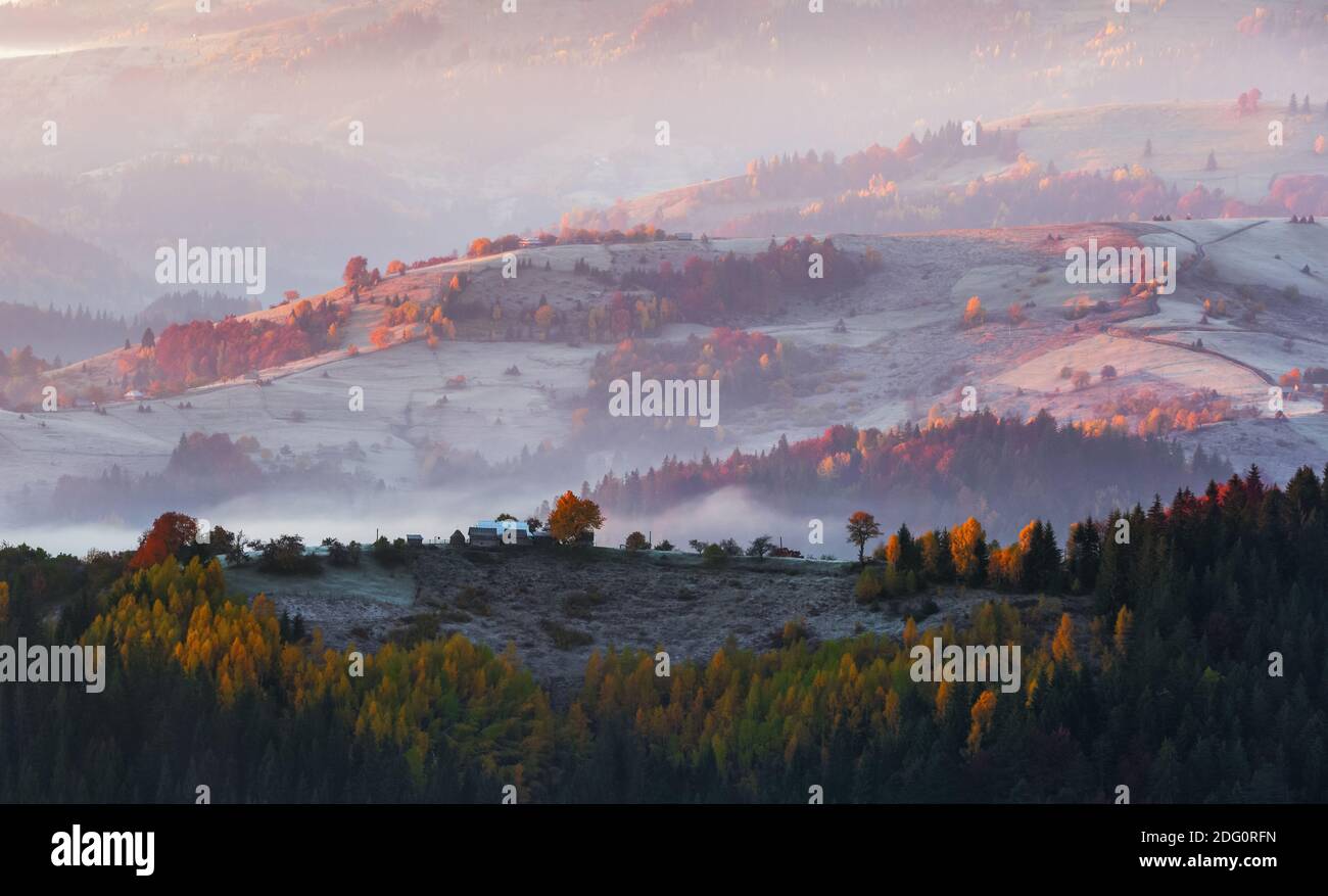 Majestic autumn rural scenery. Landscape with beautiful mountains, fields and forests covered with morning fog. There are trees on the lawn full of or Stock Photo