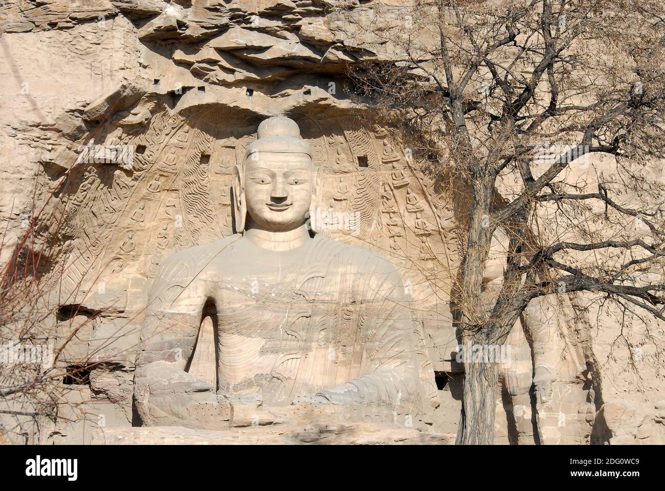 Yungang Grottoes near Datong in Shanxi Province, China. Cave 20, the most famous Buddha statues at Yungang. Front view with tree. Stock Photo