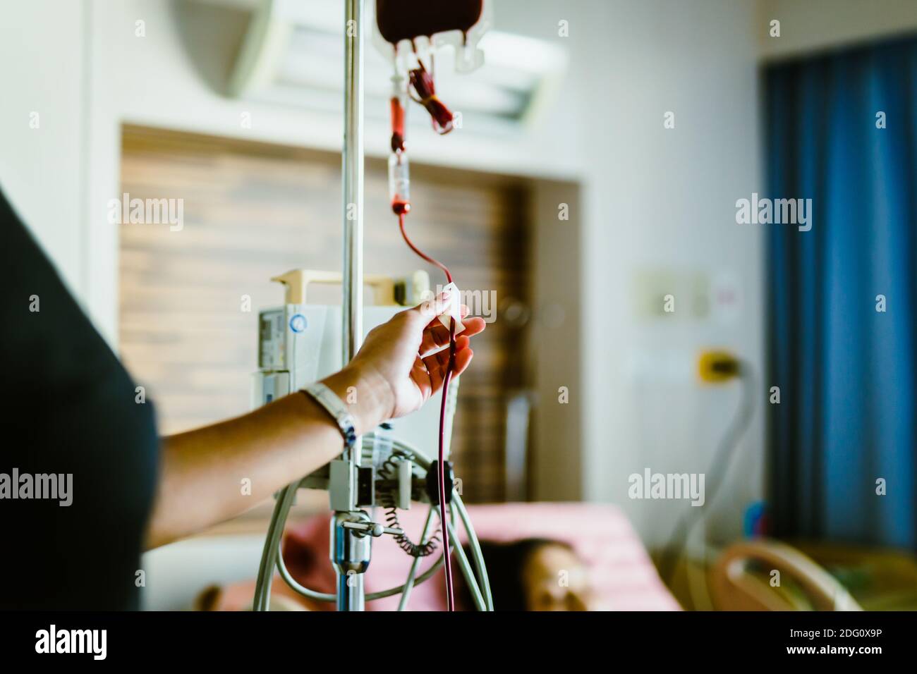 Nurse in hospital with blood products, infusion of donor blood Stock
