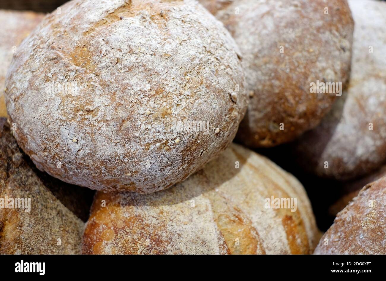 organic soda bread loaves in bakery tray, norfolk, england Stock Photo