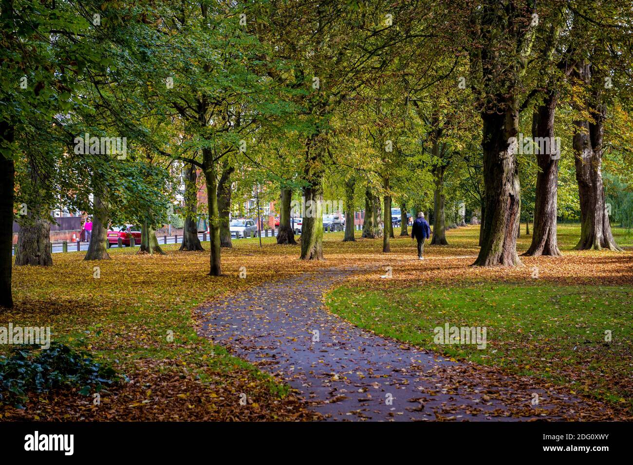 Autumn 2020 around North East Lincolnshire.People's Park Stock Photo