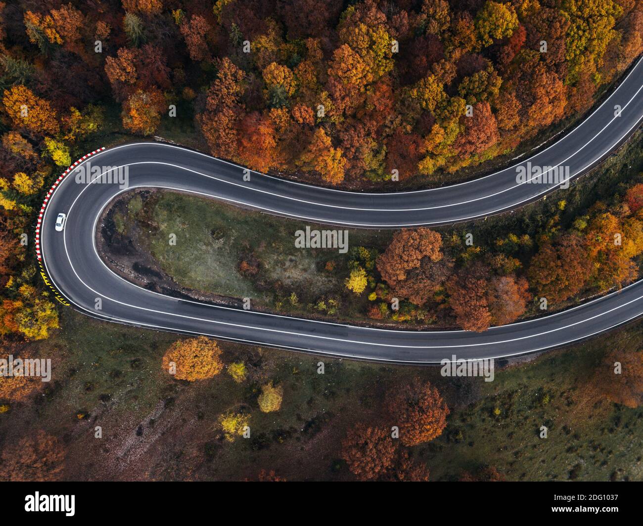 Aerial view of rural road with white car in yellow and orange autumn ...