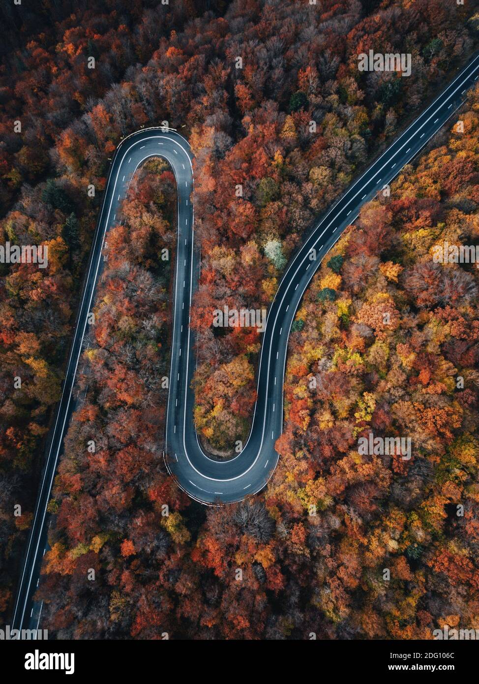 Aerial view of road in beautiful autumn forest at sunset. Beautiful landscape with empty rural road, trees with red and orange leaves. Romania,Transy Stock Photo