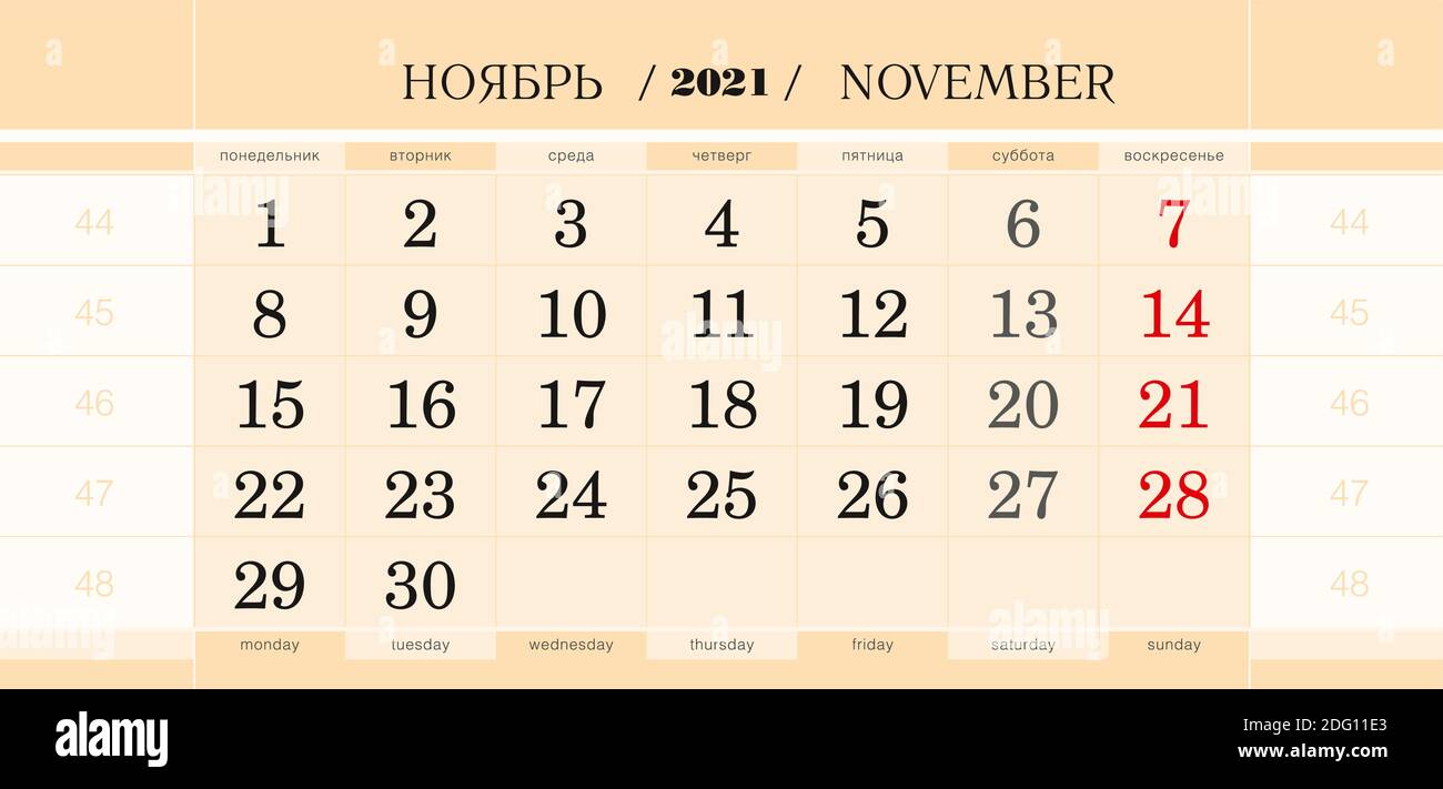 Calendar quarterly block for 2021 year, November 2021. Wall calendar ...