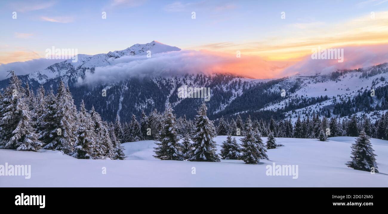 Awesome sunrise. High mountains with snow white peaks. A panoramic view of the covered with frost trees in the snowdrifts. Winter forest. Natural land Stock Photo