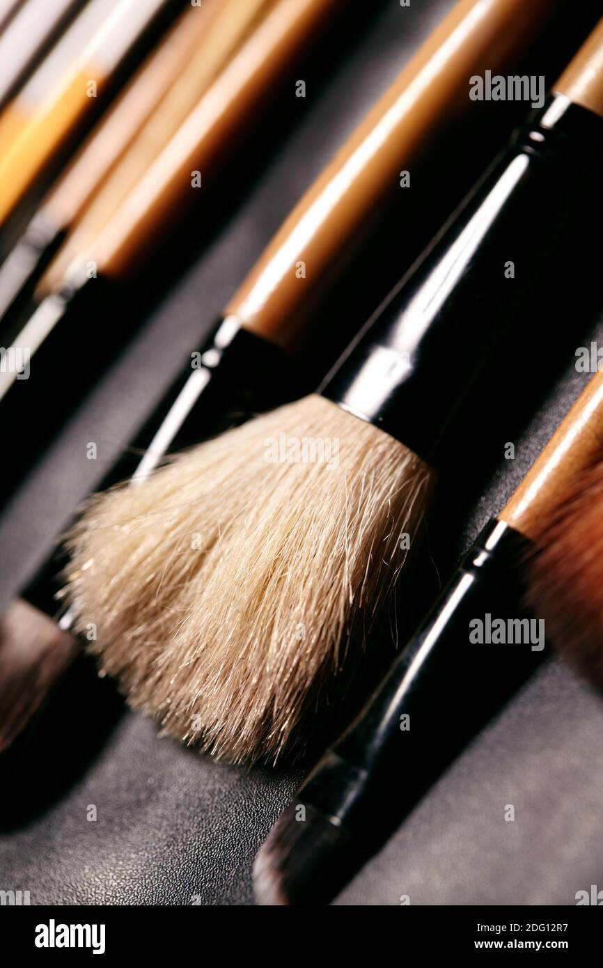 Set of make-up brushes in black makeup bag. Beauty tools for professional visage. Brushes for maskara, eyeshadows, foundation, lipstick, blush and fac Stock Photo