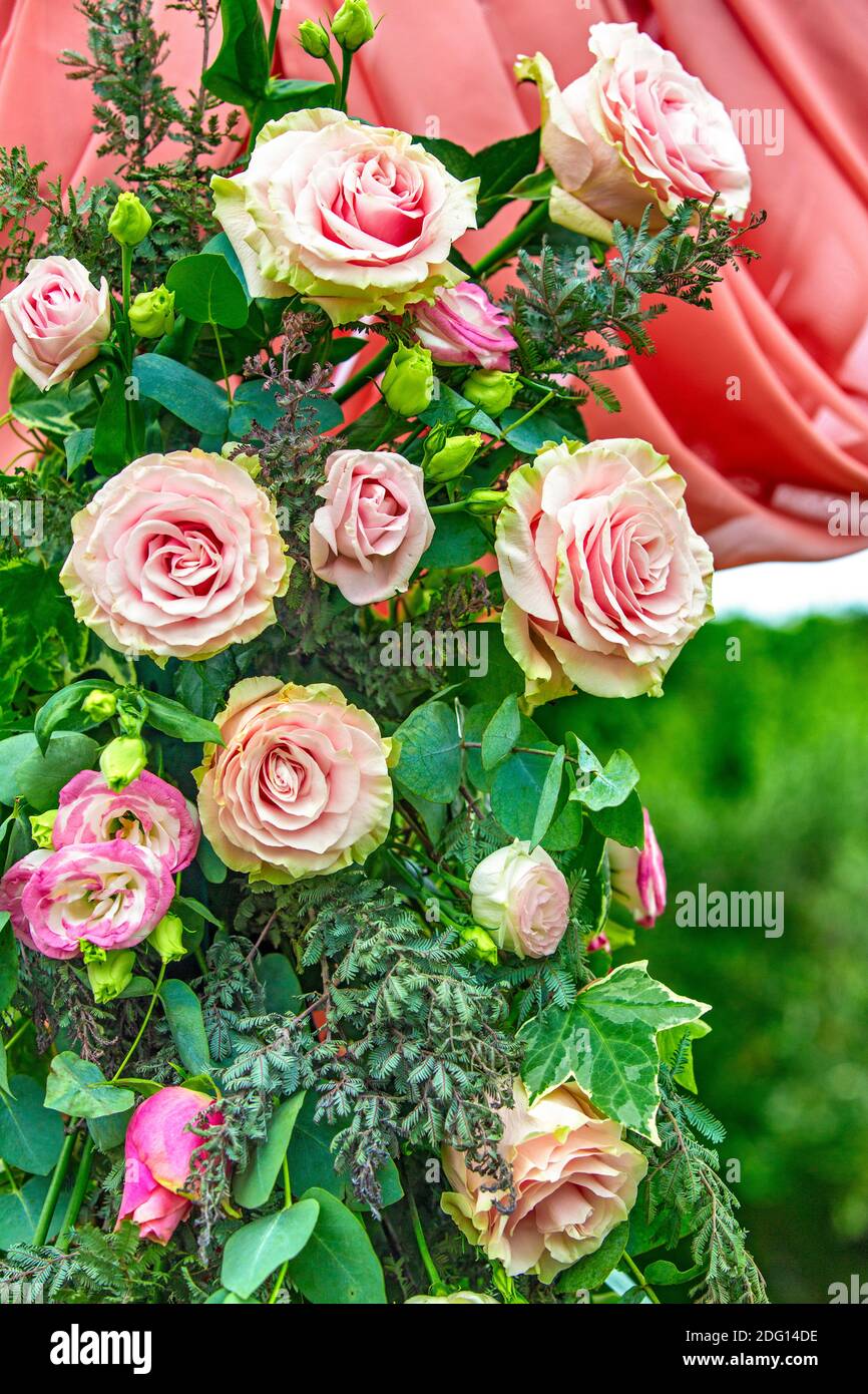 detail of colored rose flowers used as decoration during weddings Stock ...