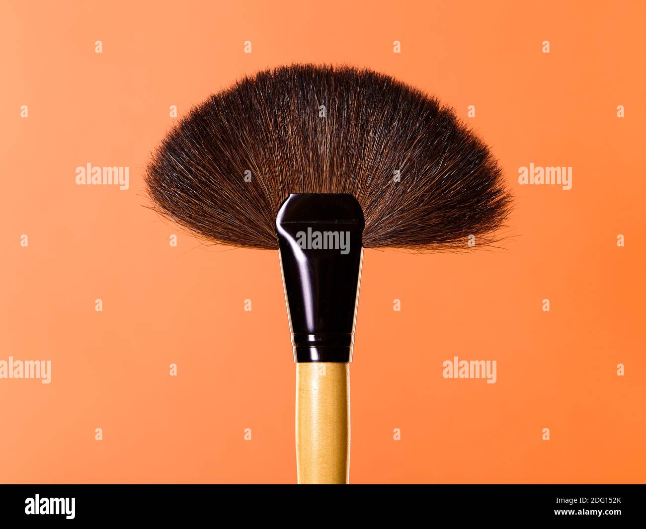 Makeup brushes, everyday make-up tools. Cosmetic essentials on bright blue background, closeup Stock Photo