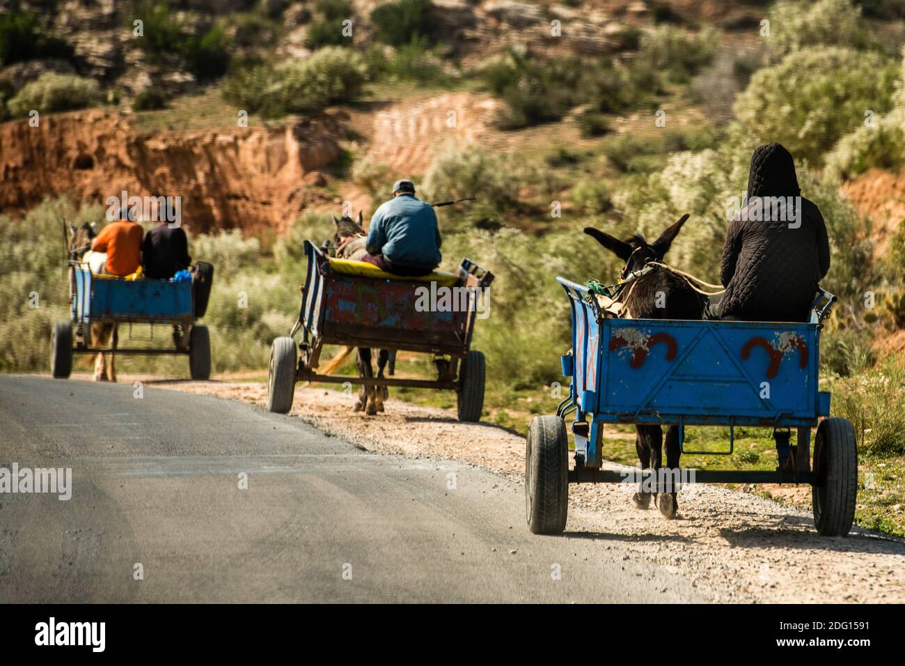 a couple of traditional Donkey carts along the road in Morocco in winter Stock Photo