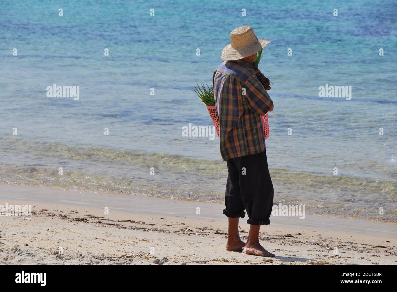 Man sells palm trees on the beach Stock Photo