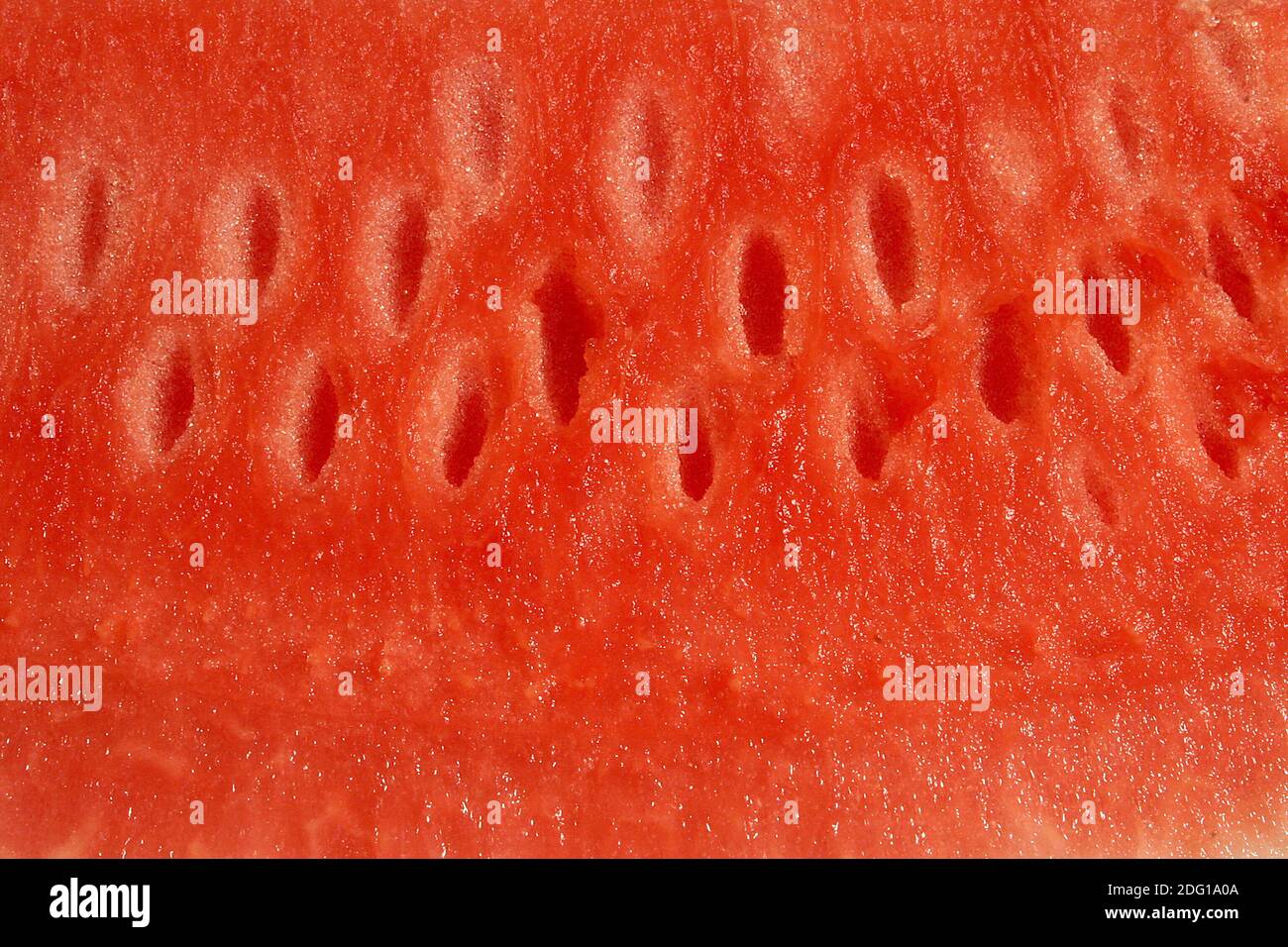Close up of watermelon Stock Photo