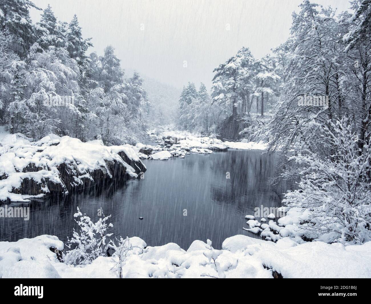 Snow falling by the River Affric near Dog Falls, Glen Affric, Scotland Stock Photo