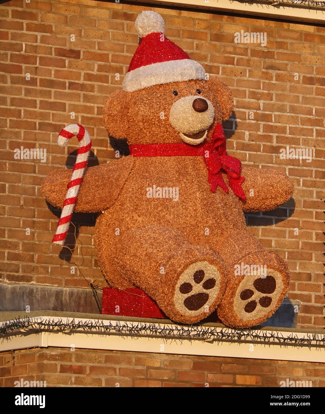 large christmas bear