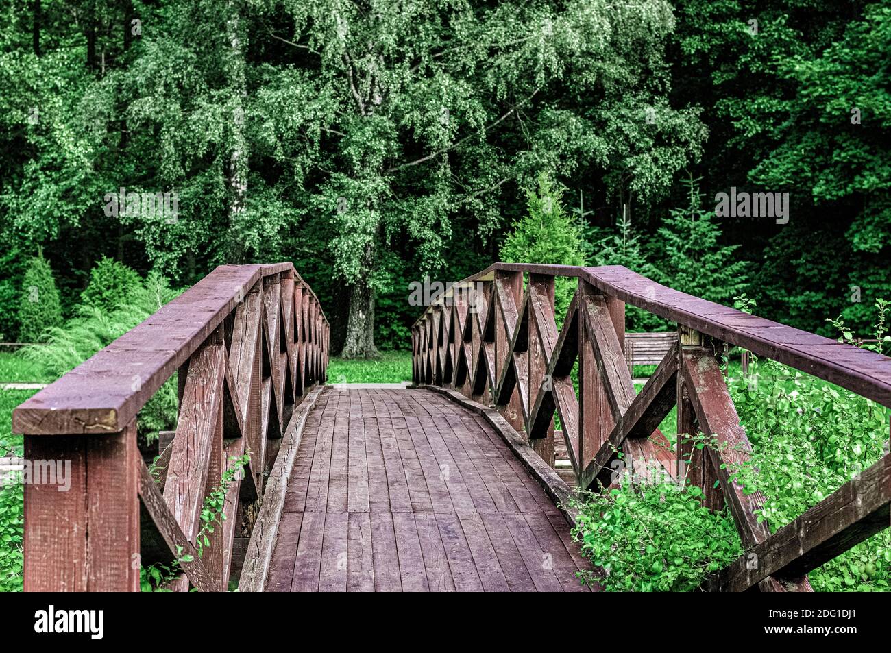 Wooden bridge in the forest Stock Photo - Alamy