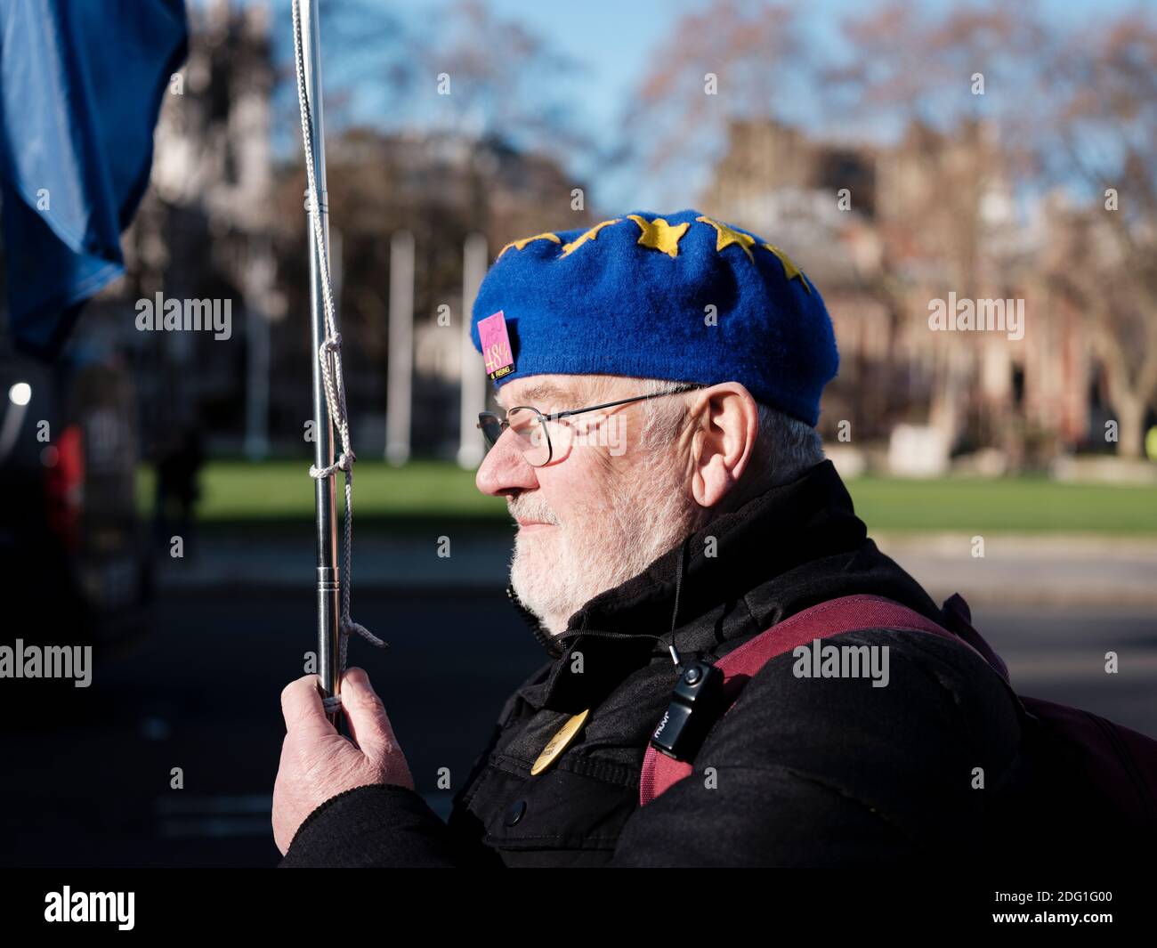 Anti-Brexit campaigner outside the gate of the House of Parliament (Palace of Westminster), London, United Kingdom. January 28, 2019. Stock Photo