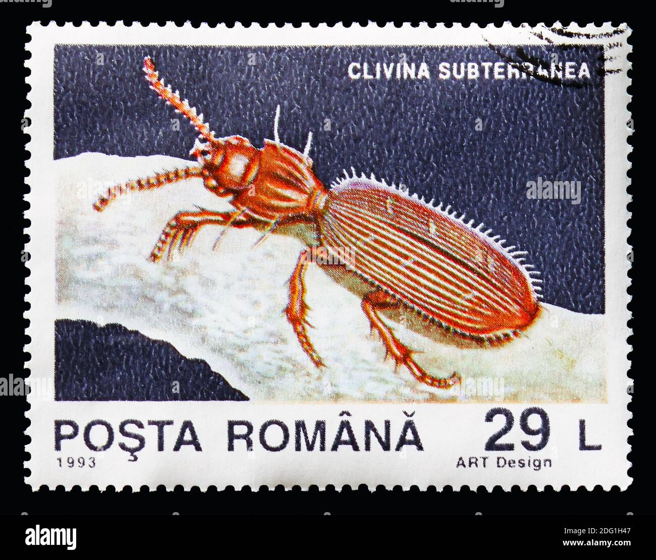 MOSCOW, RUSSIA - AUGUST 18, 2018: A stamp printed in Romania shows Ground Beetle (Clivina subterranea), Animals from the Movile Cavern serie, circa 19 Stock Photo