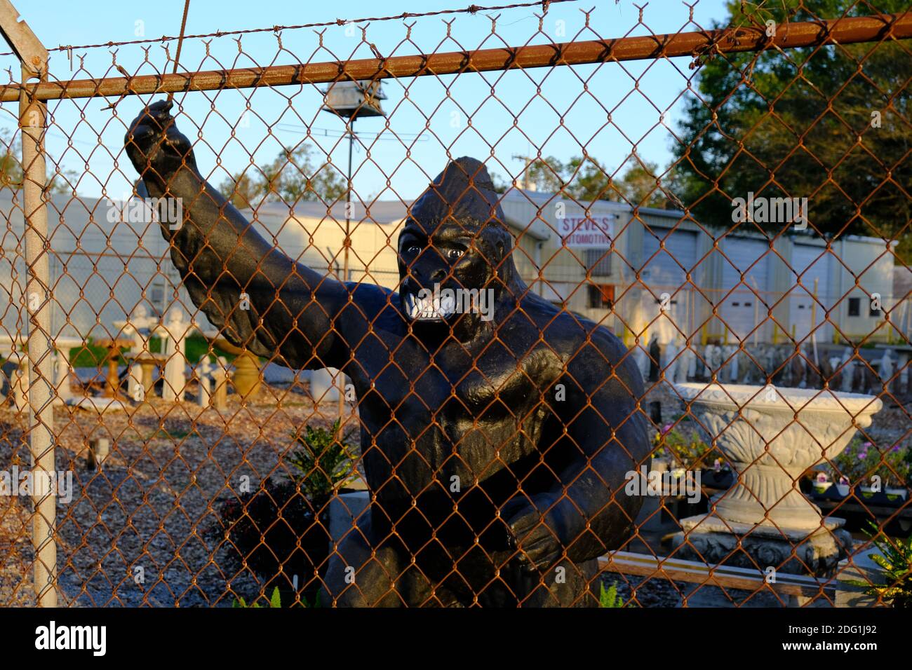 Gorilla Bottle Opener Wall Mount Gorilla Bottle Opener Wall Mount : Behind  the Fence Statues Gallery, Behind the Fence Statues Gallery