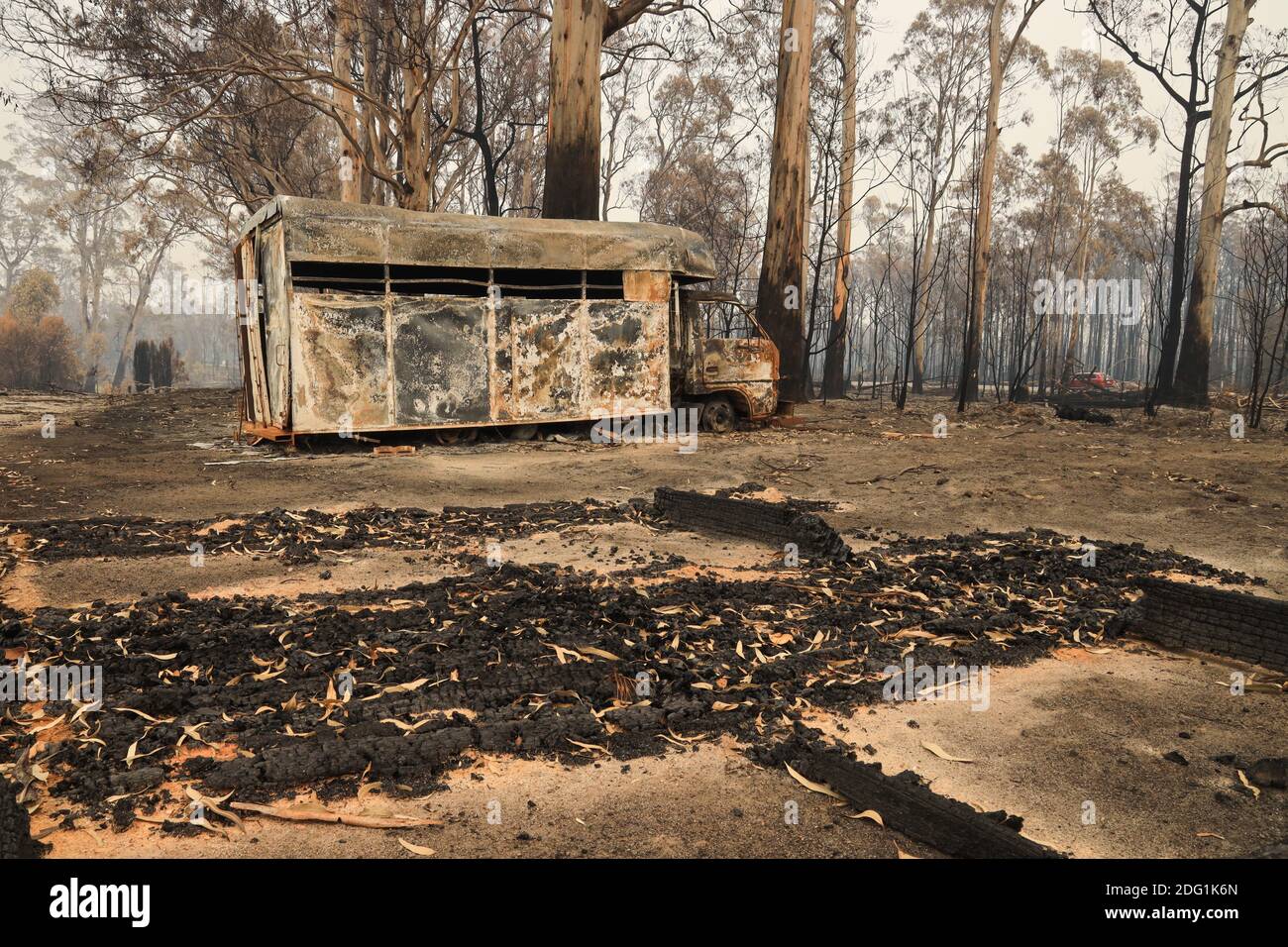 Bushfire damage in East Gippsland, Victoria, Australia Stock Photo
