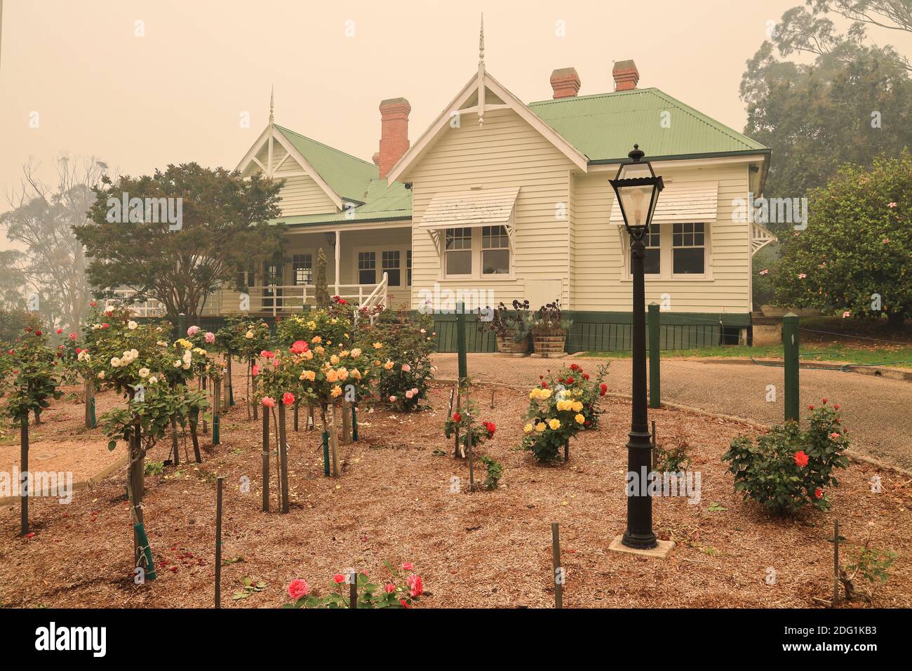 Rose garden and Nyerimilang Homestead shrouded in smoke during the bushfires in East Gippsland, Victoria, Australia Stock Photo