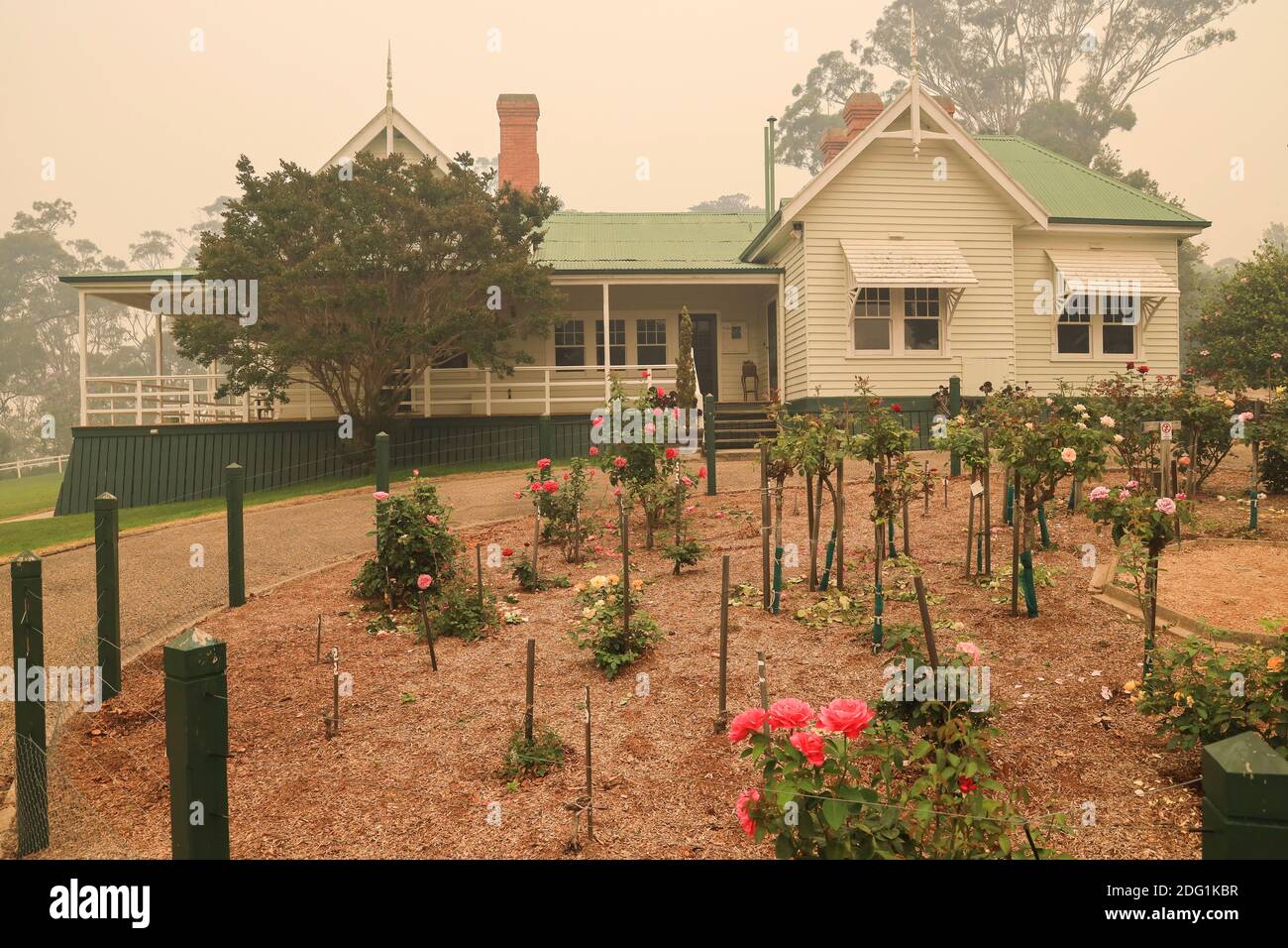 Rose garden and Nyerimilang Homestead shrouded in smoke during the bushfires in East Gippsland, Victoria, Australia Stock Photo