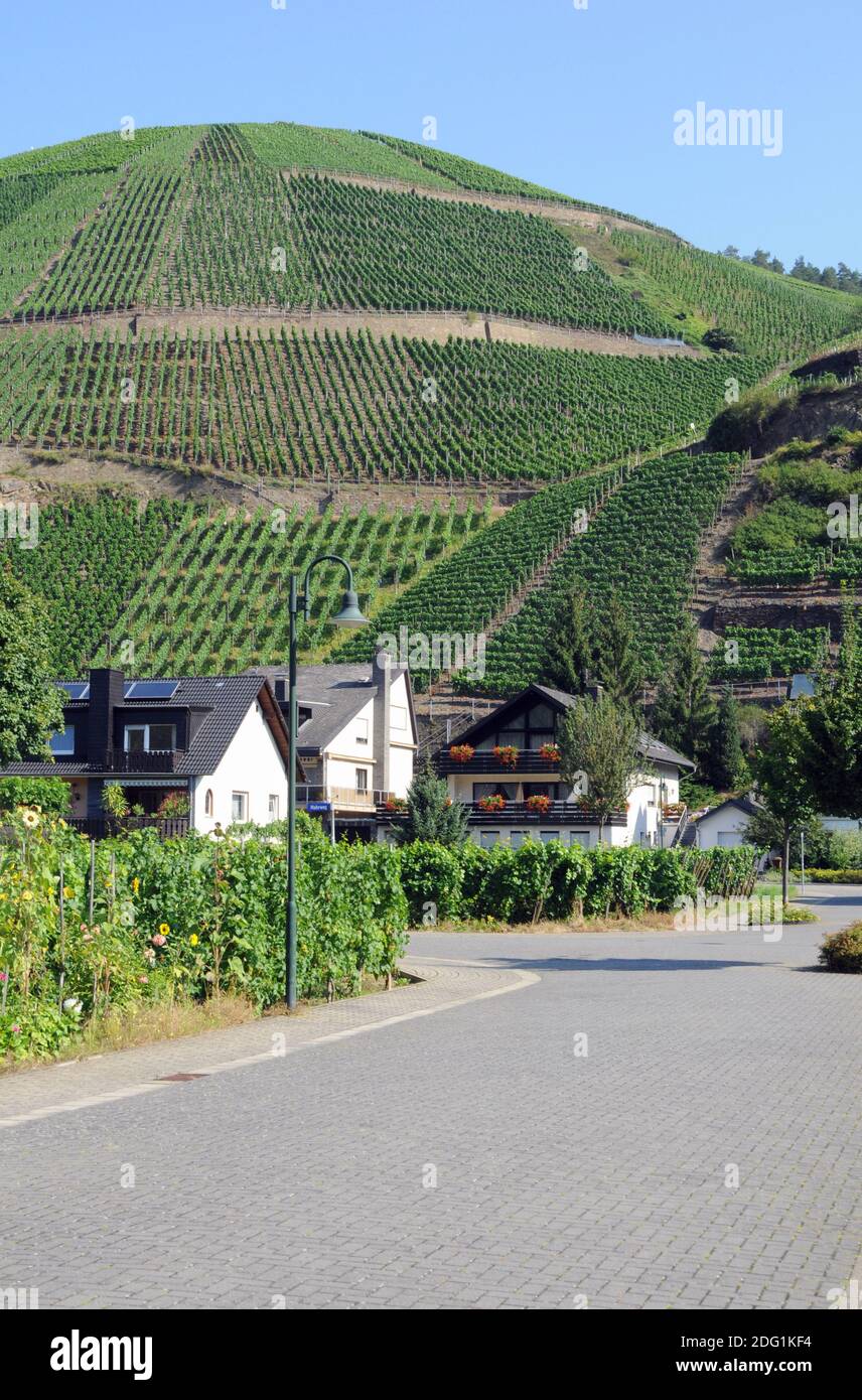 Ahrtal Dernau Hi res Stock Photography And Images Alamy Ahrtal Dernau Hi res Stock Photography And Images Alamy