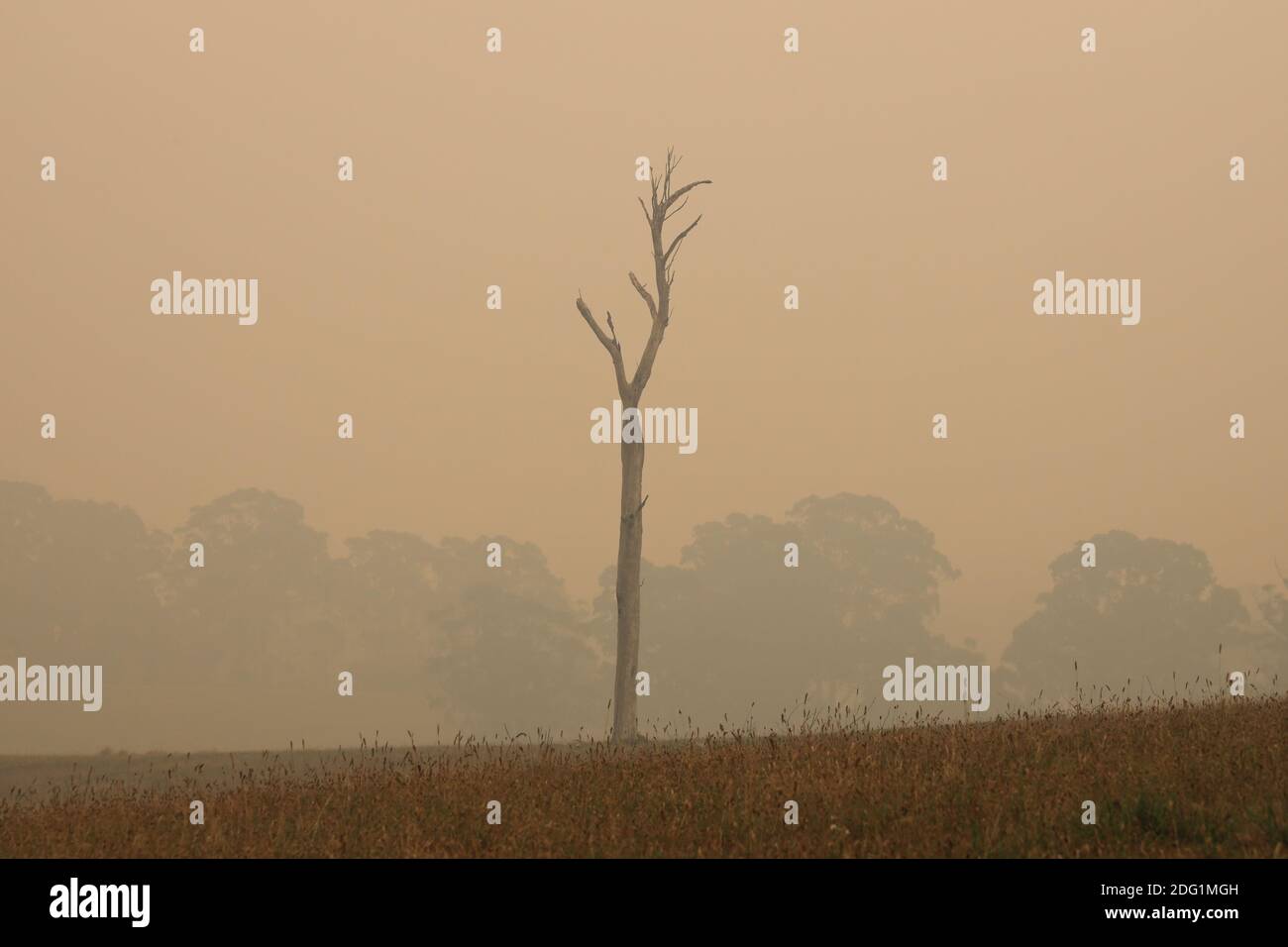 Bushfire smoke over East Gippsland countryside, Victoria, Australia Stock Photo