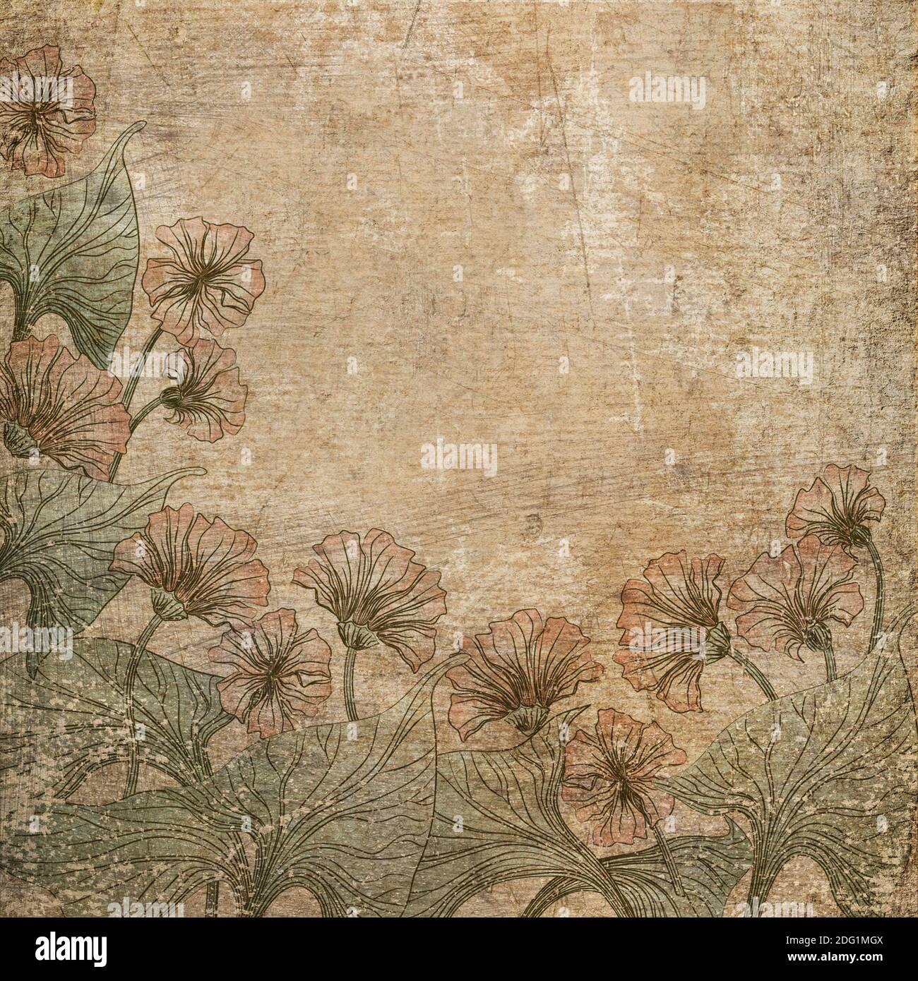 Old scratched paper with flowers background Stock Photo - Alamy
