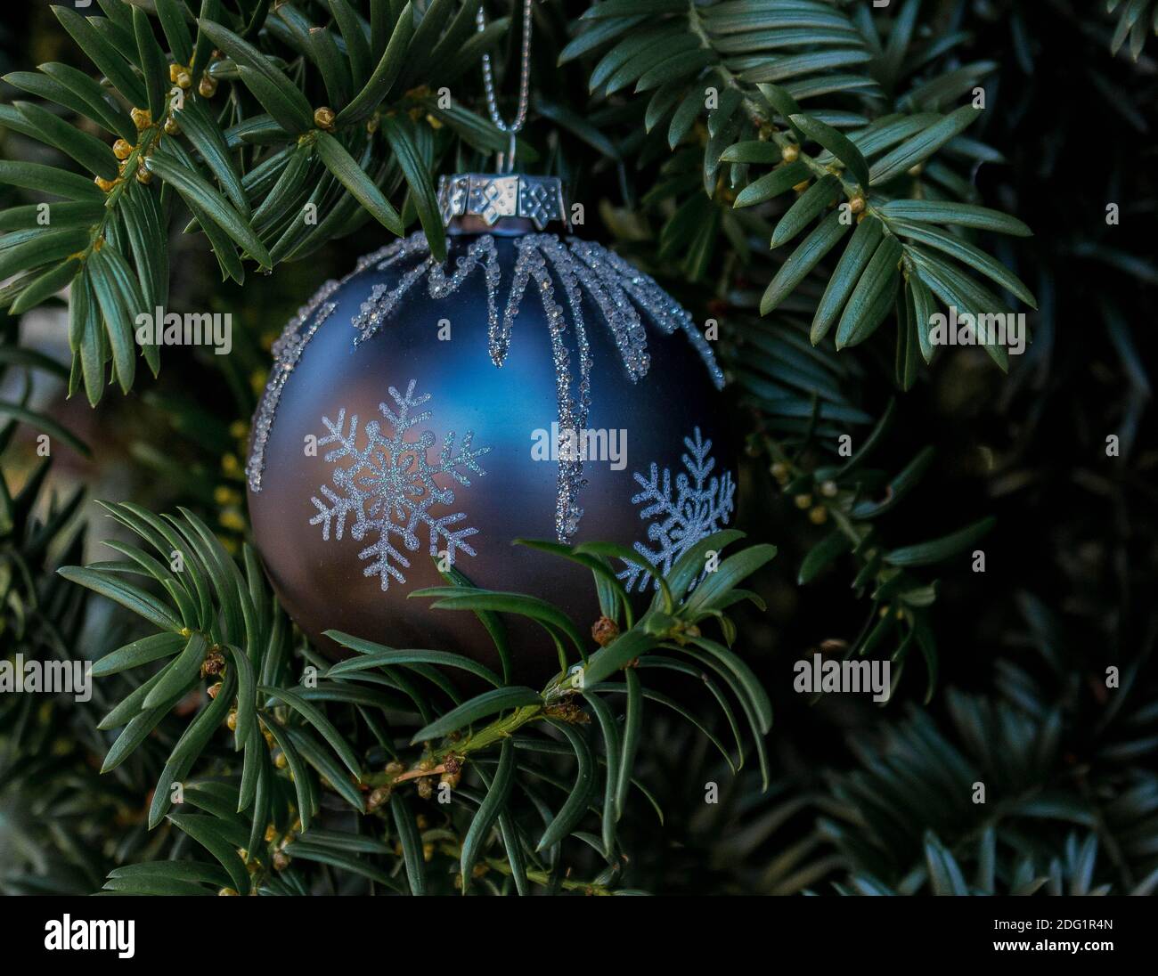 single christmas tree ball with snowflake design hanging in yew close up Stock Photo