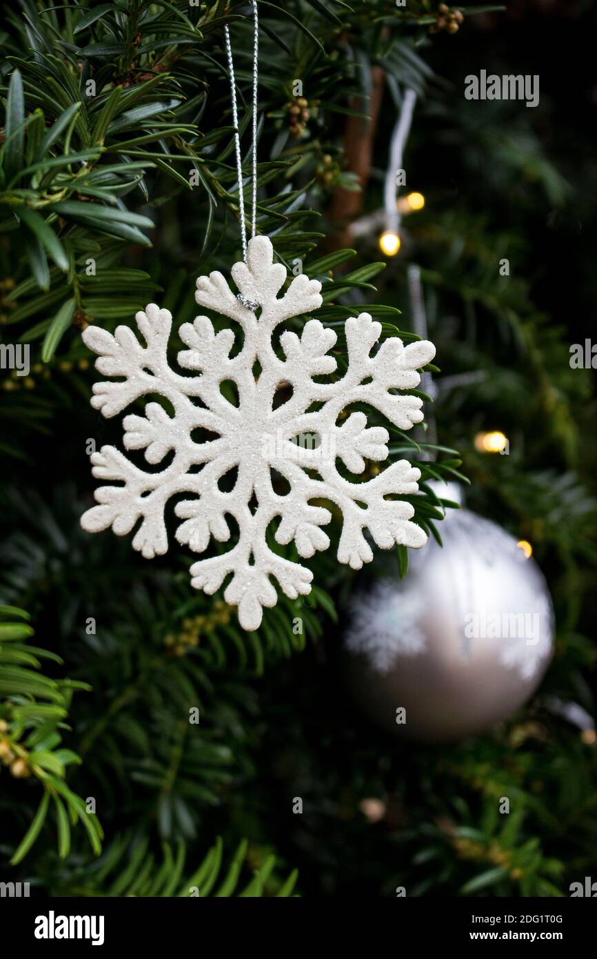 white glitter snowflake ornament hanging in yew tree outside with christmas tree ball in background Stock Photo