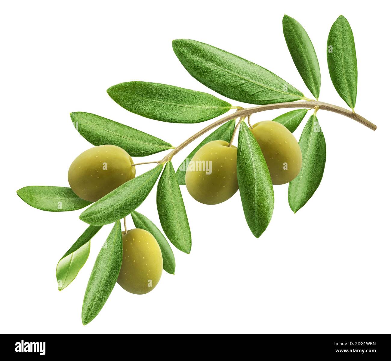 Olives On White Stock Photo - Download Image Now - Olive - Fruit