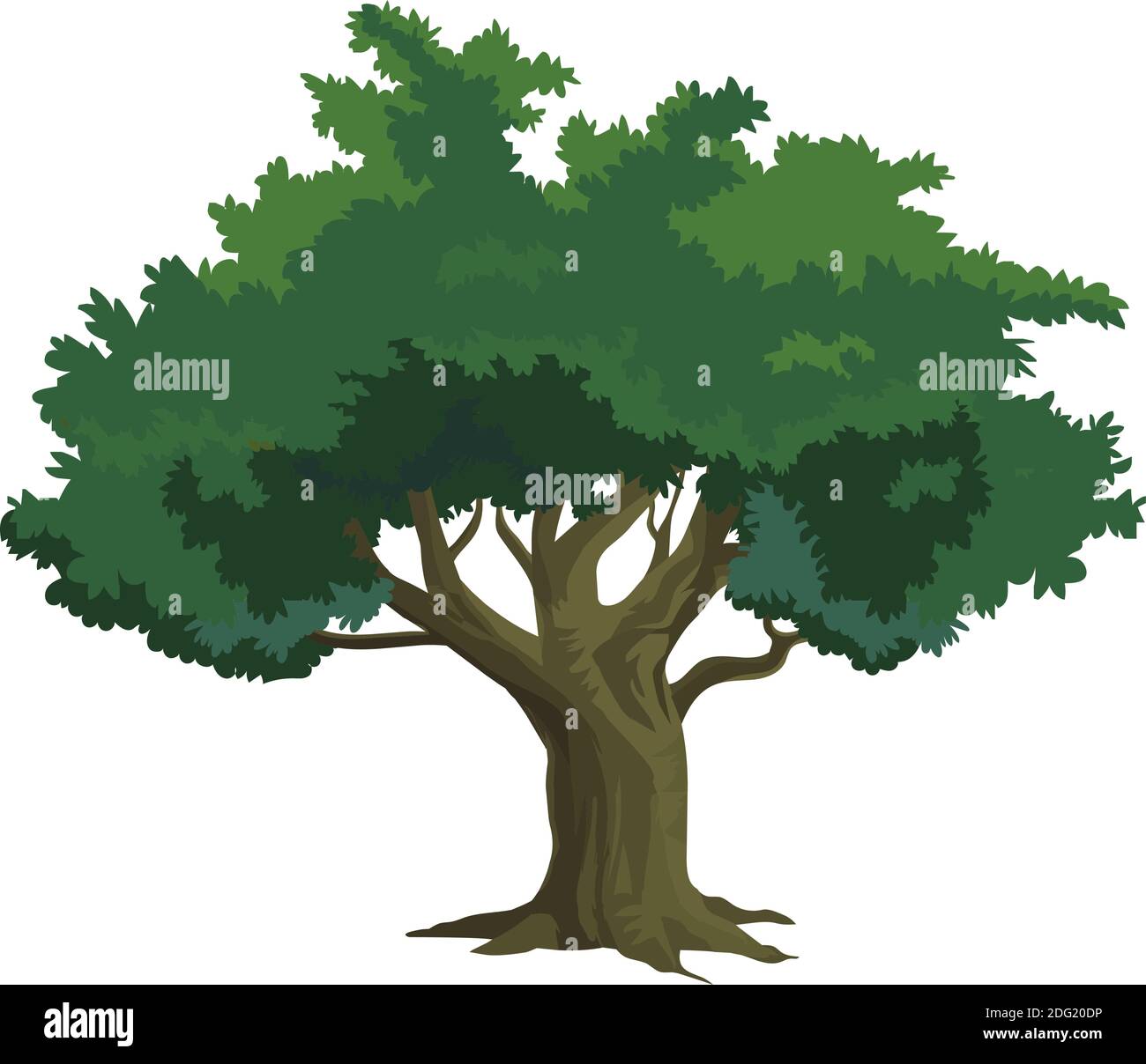 Tree isolated on white background - Vector Stock Vector Image & Art - Alamy