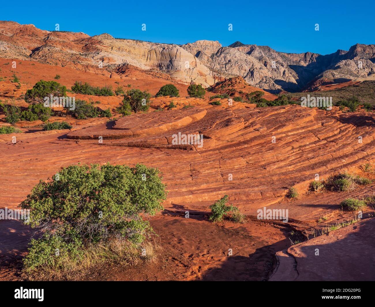Cross-bedded sandstone, Petrified Dunes, Snow Canyon State Park, Saint ...