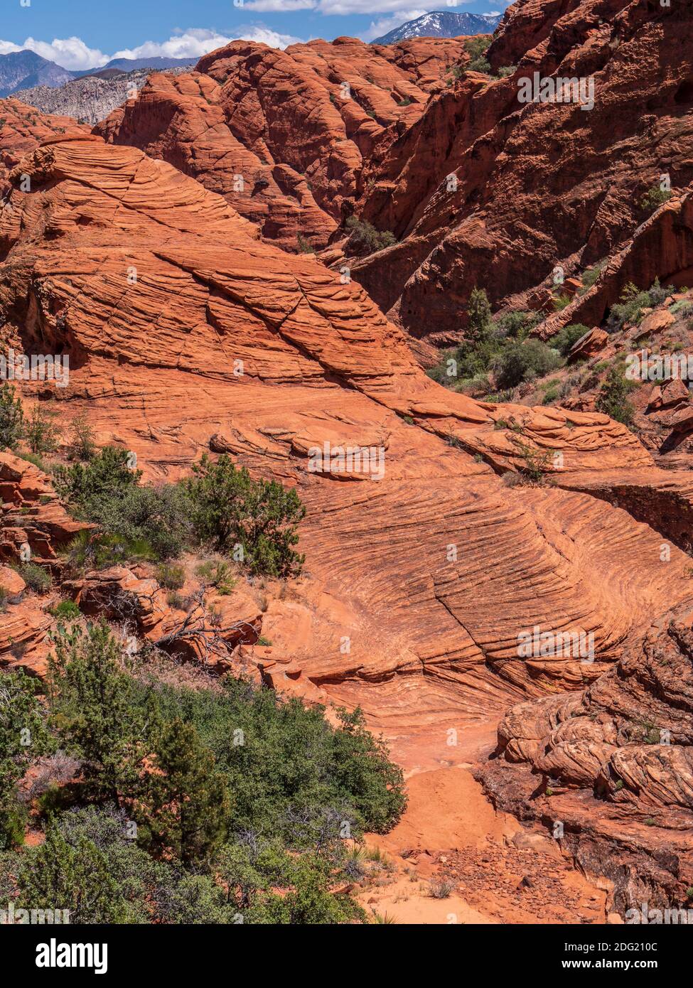 Cross-bedded sandstone, Padre Canyon Trail, Snow Canyon State Park ...