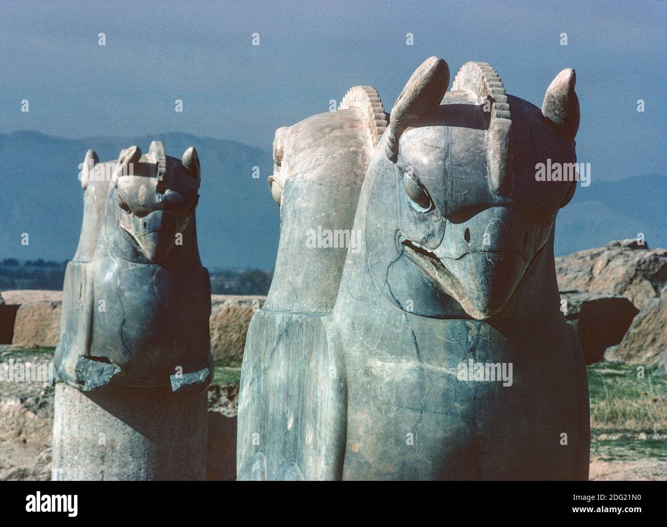 double-headed eagle capitals from the Achaemenid Apadana palace, built by Darius I and Xerxes I, Persepolis, Iran Stock Photo