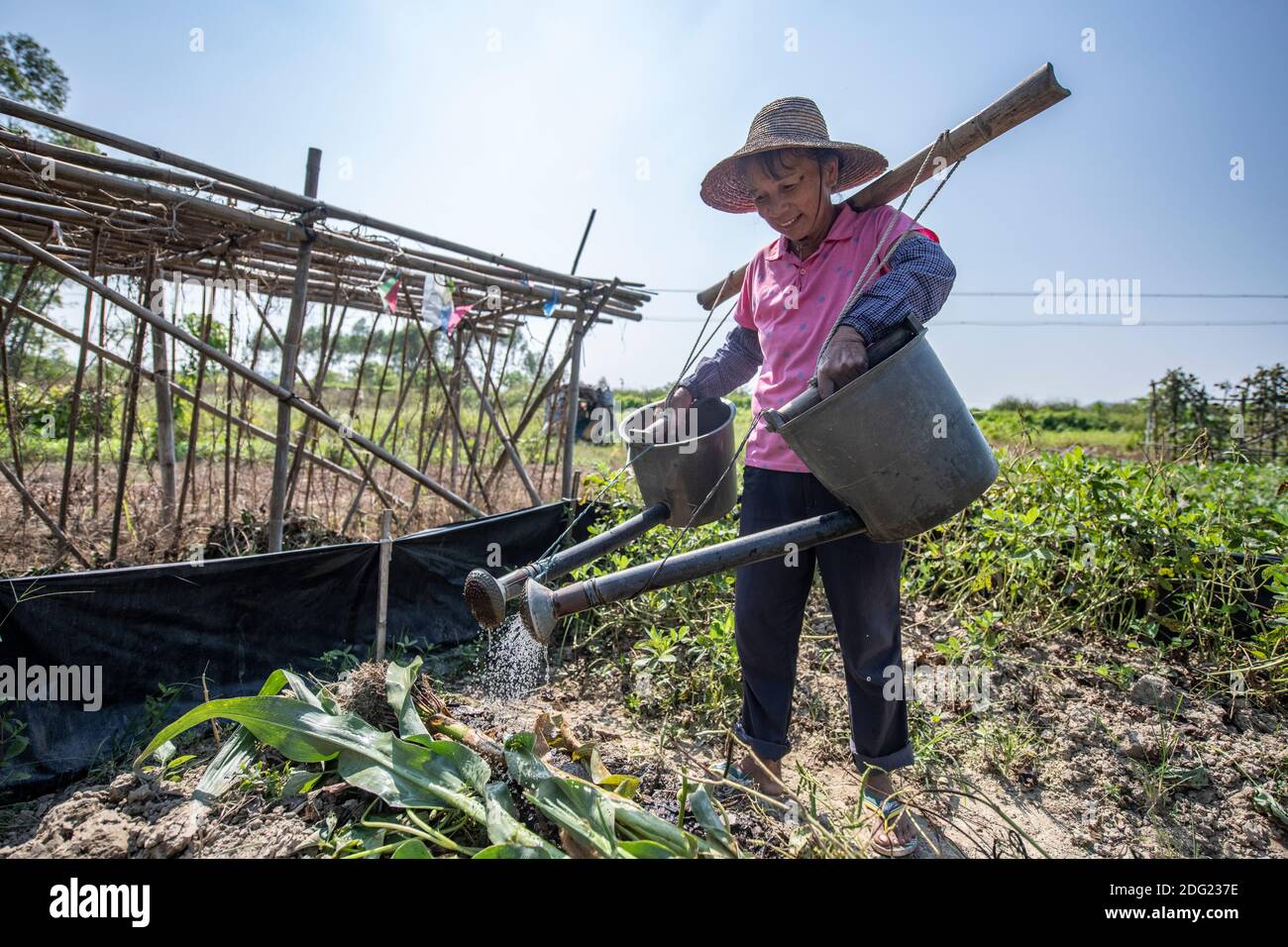 Small scale agriculture in rural China organic, subsistence farming