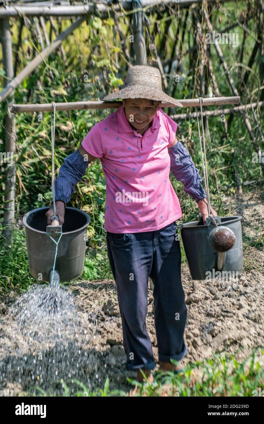 Small scale agriculture in rural China - organic, subsistence farming. A female farmer waters her produce and offers the photographer some corn. Stock Photo
