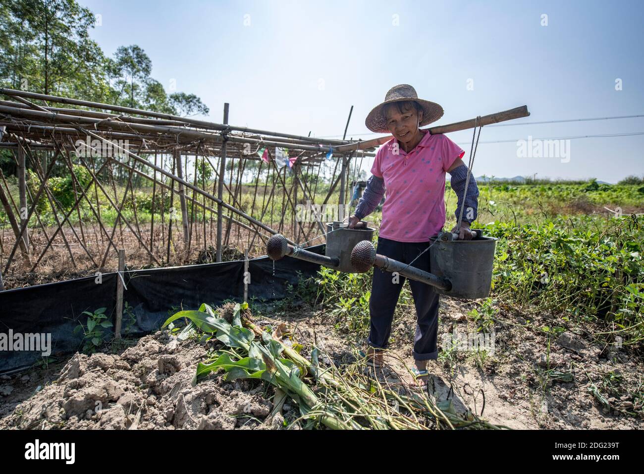 Small scale agriculture in rural China organic, subsistence farming