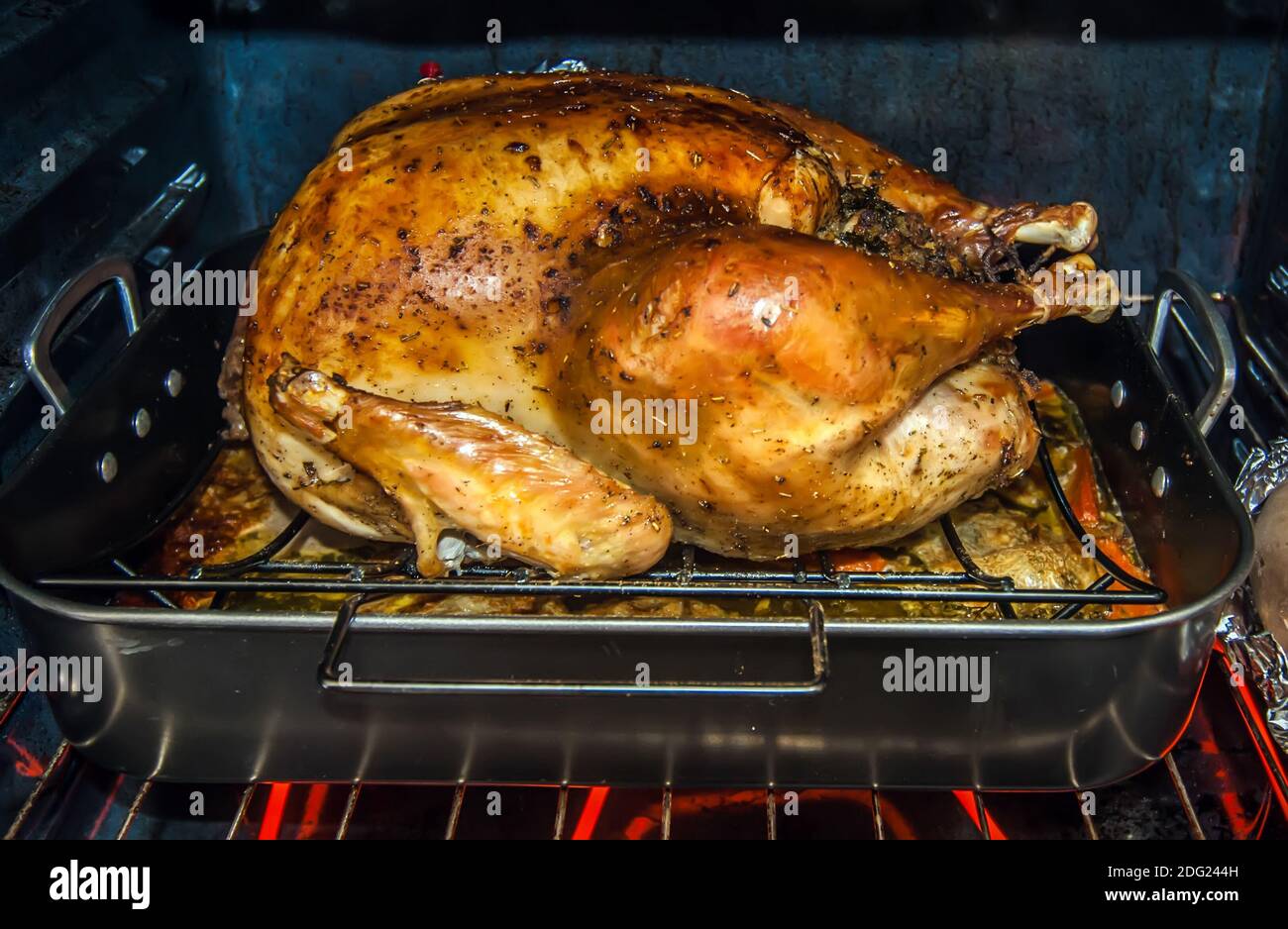 Thanksgiving turkey dinner Stock Photo