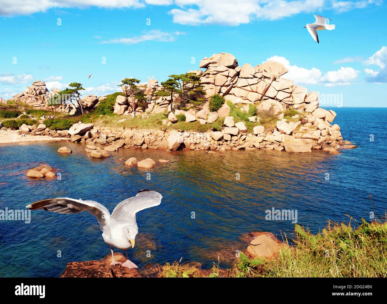 Breton coast in Morbihan, France Stock Photo Alamy