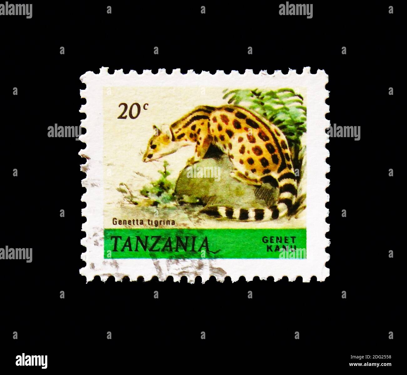 MOSCOW, RUSSIA - AUGUST 18, 2018: A stamp printed in Tanzania shows Cape Genet (Genetta tigrina), Animals serie, circa 1980 Stock Photo