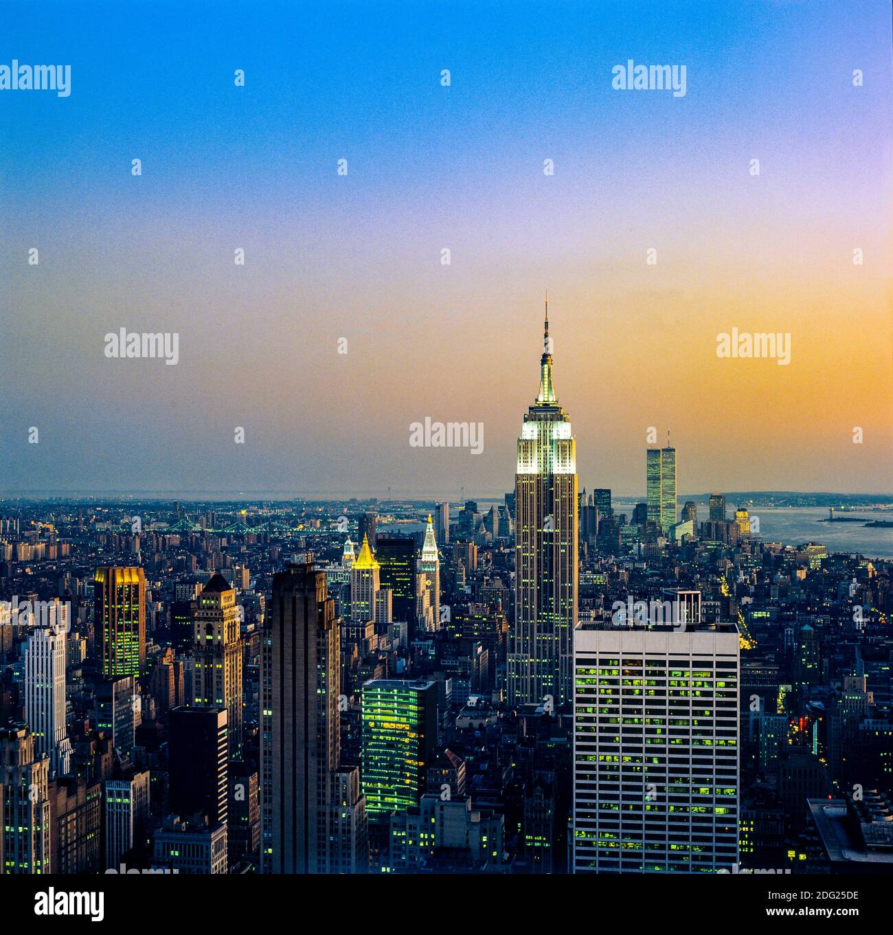 My Image 3