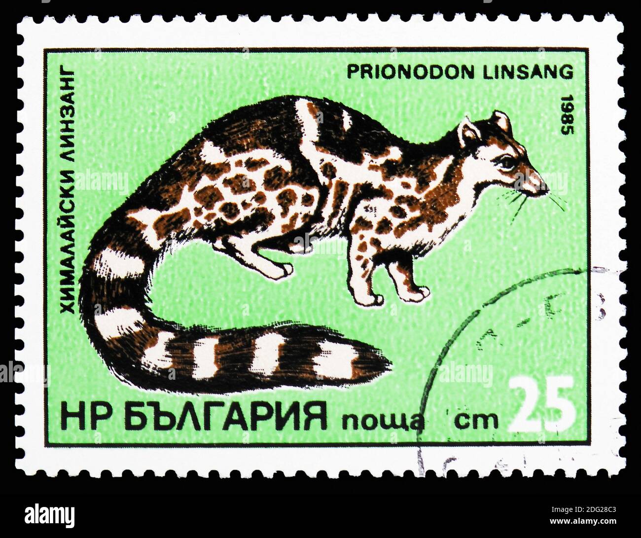 MOSCOW, RUSSIA - OCTOBER 21, 2018: A stamp printed in Bulgaria shows Banded Linsang (Prionodon linsang), Exotic predators serie, circa 1985 Stock Photo