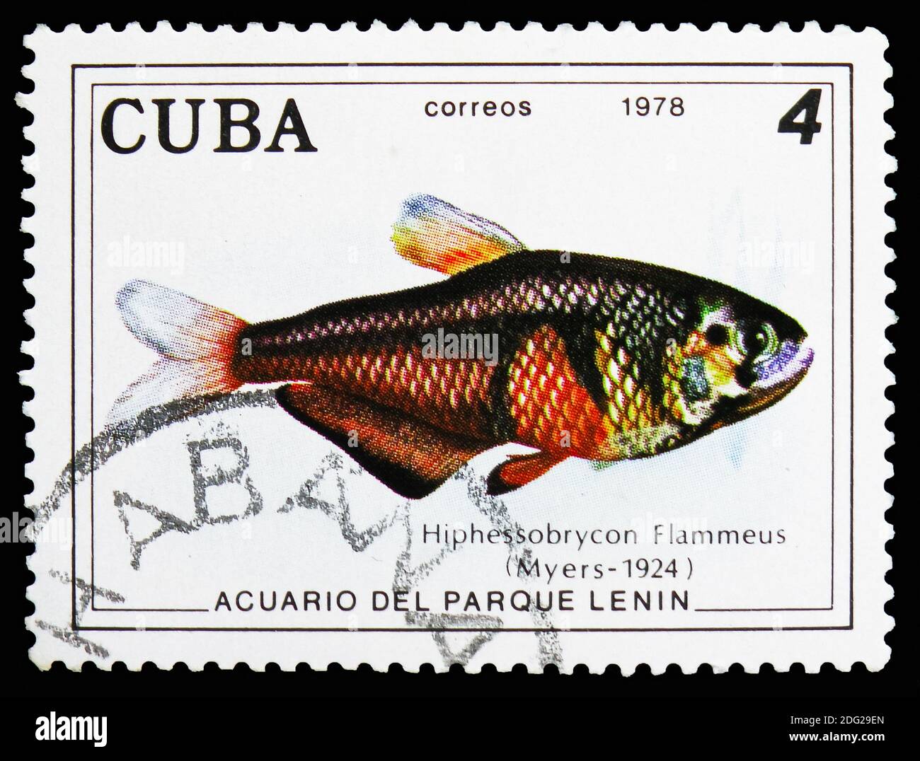 MOSCOW, RUSSIA - OCTOBER 21, 2018: A stamp printed in Cuba shows Rio Flame Tetra (Hyphessobrycon flammeus), Fish (in Lenin Park Aquarium, Havana) seri Stock Photo