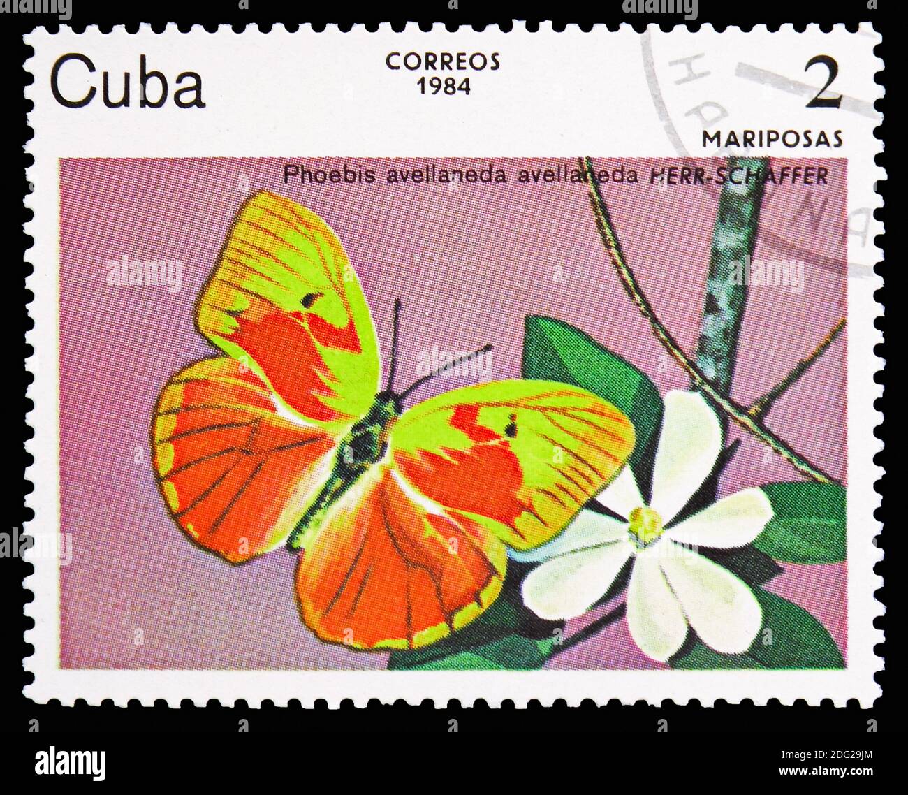 MOSCOW, RUSSIA - OCTOBER 21, 2018: A stamp printed in Cuba shows Red-splashed Sulphur (Phoebis avellaneda), Butterflies serie, circa 1984 Stock Photo