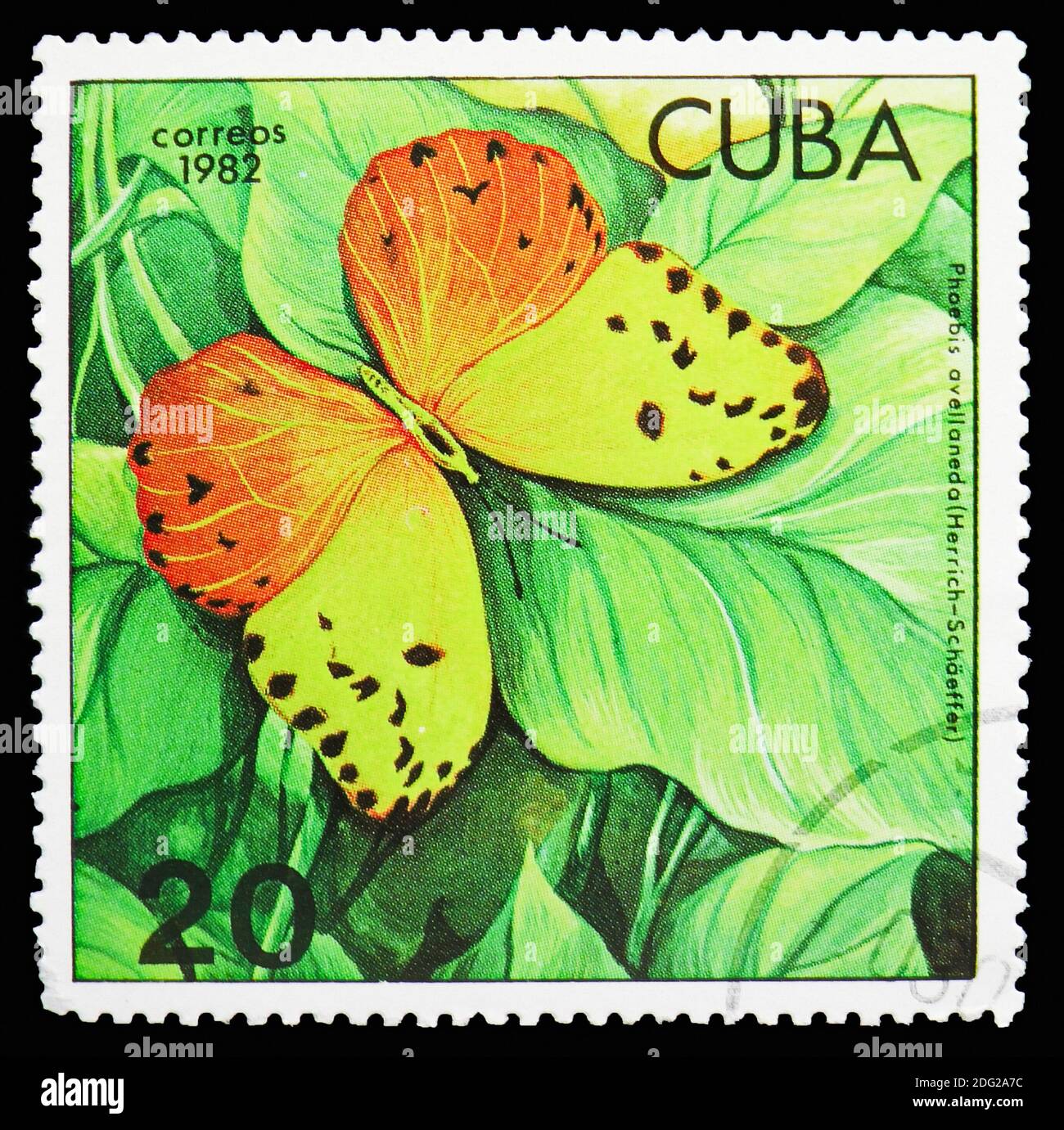 MOSCOW, RUSSIA - OCTOBER 21, 2018: A stamp printed in Cuba shows Red-splashed Sulphur (Phoebis avellaneda), Butterflies serie, circa 1982 Stock Photo